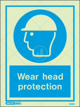 Wear Head Protection - Personal Protection equipment